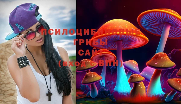 мдпв Белокуриха