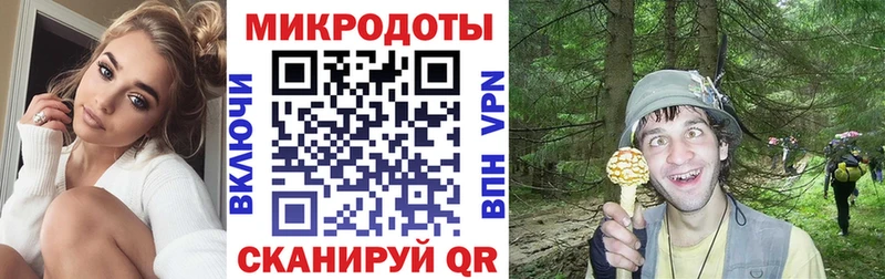 как найти закладки  даркнет телеграм  Псилоцибиновые грибы прущие грибы  Высоковск 